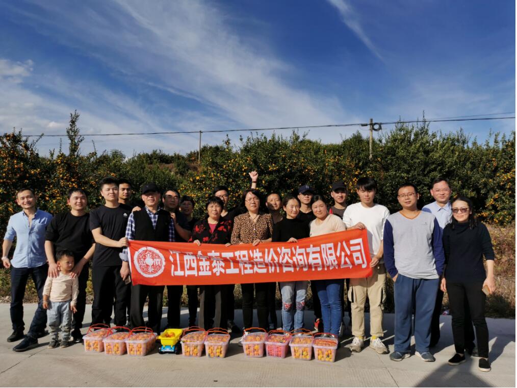 江西金泰工程造价咨询有限公司组织采摘蜜桔活动