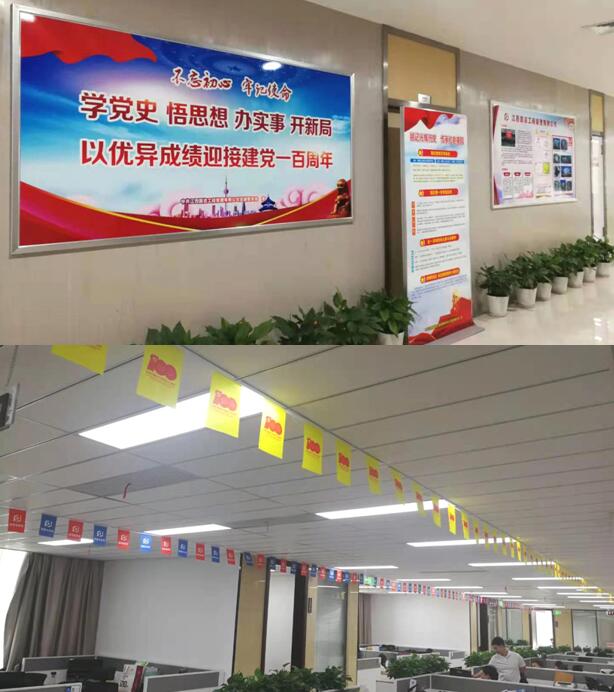 国咨开展全公司党史学习教育宣传活动