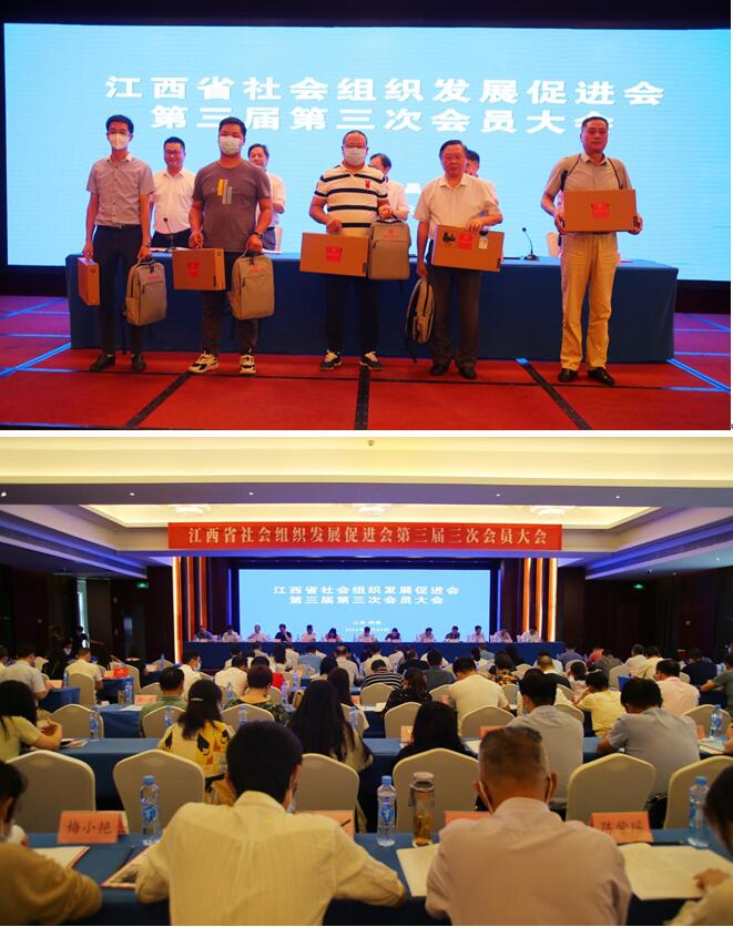 协会领导参加省社会组织发展促进会第三届三次会议