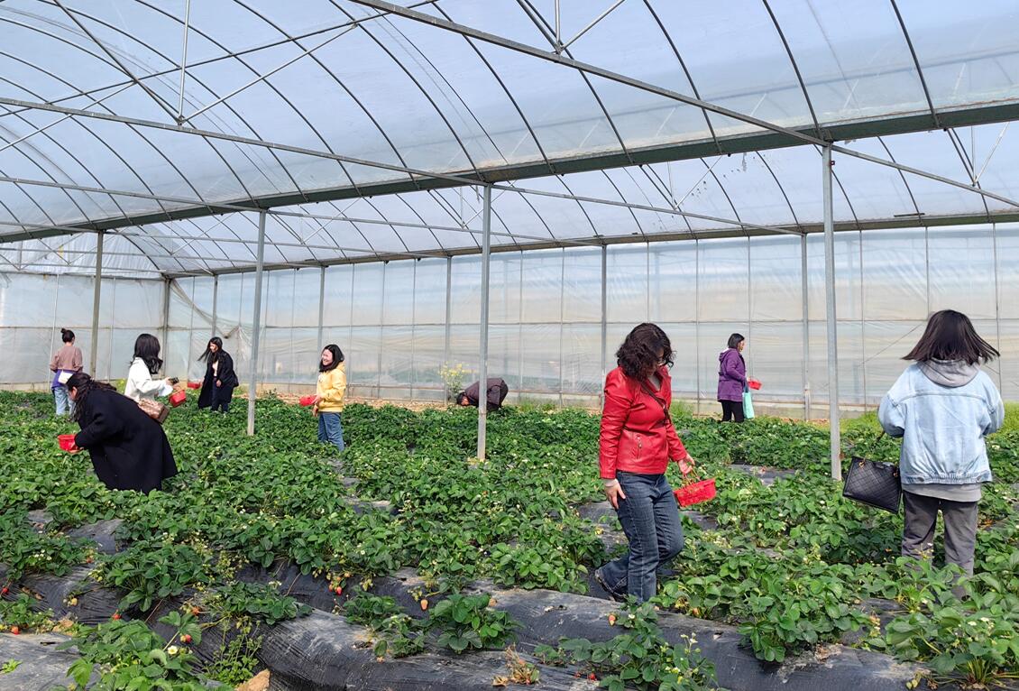 江西万隆中审公司组织员工团建活动