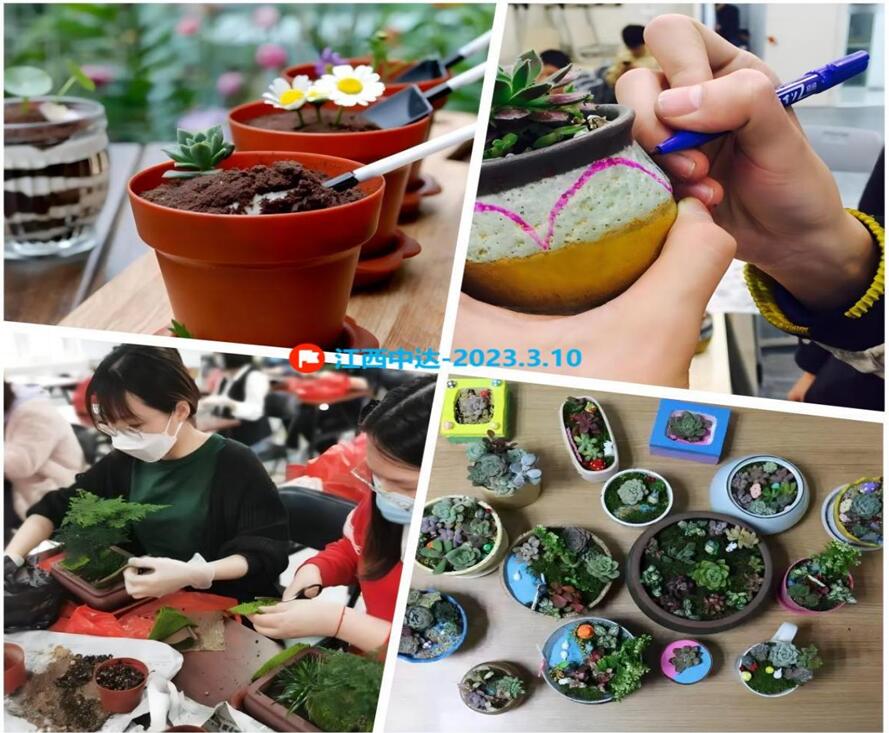 江西中达公司组织员工种植盆栽活动