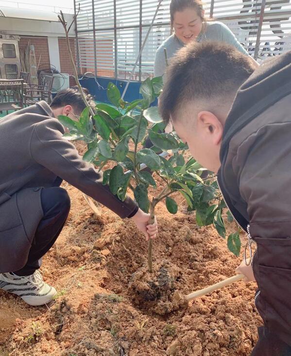 江西万邦公司组织员工开展“3.12植树节”活动