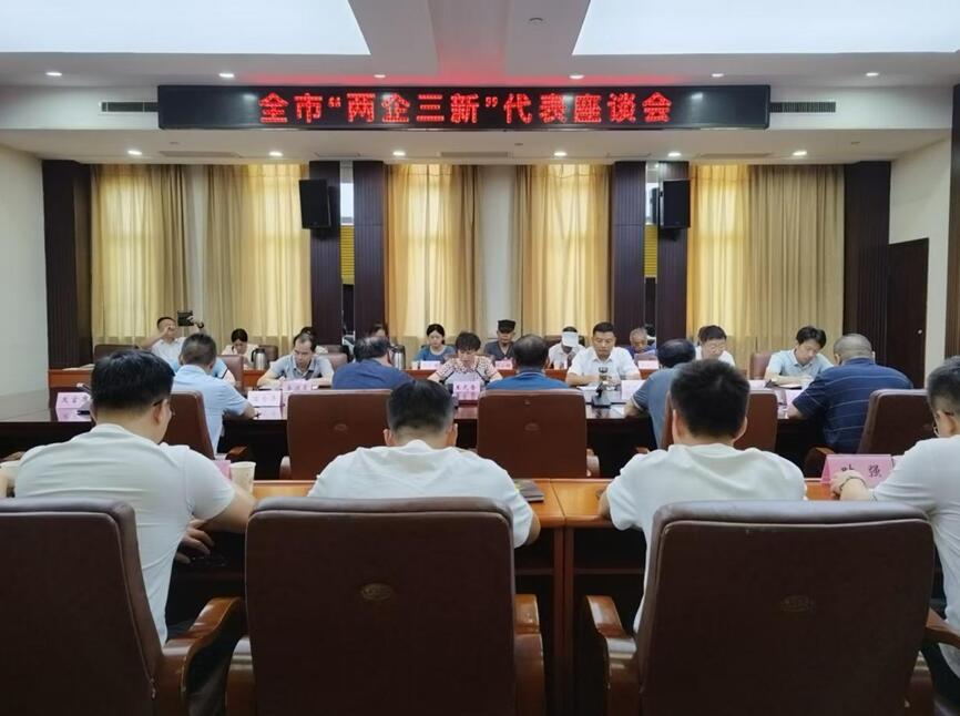 江西新立公司参加全市“两企三新”代表座谈会