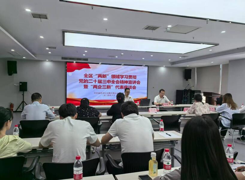 天翔公司参加全区“两新”领域学习贯彻党的二十届三中全会精神宣讲暨“两企三新”代表座谈会